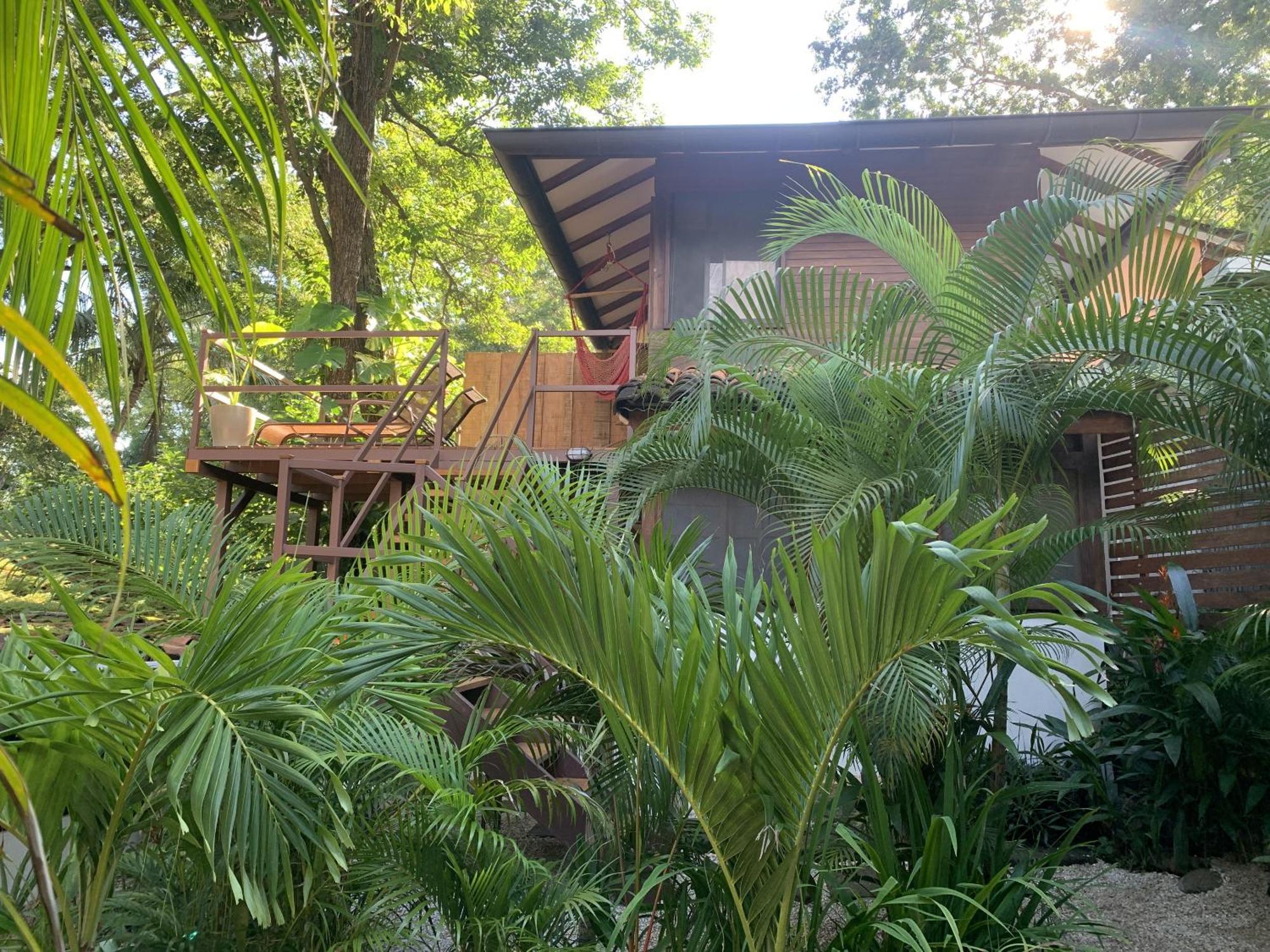 The Beach Bungalows Tamarindo- Adults Only Zimmer foto